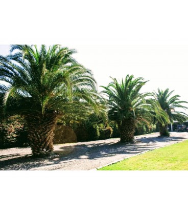 Se vende casa en parcela Chicureo